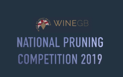WineGB National Pruning Competition Video